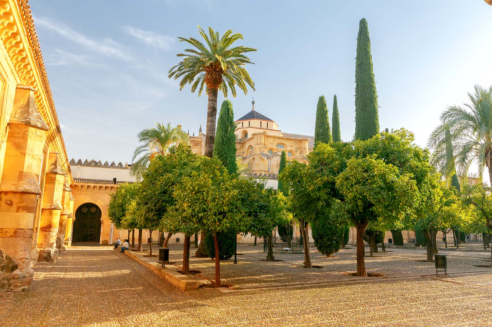Orange yard in the cathedral. Cordoba. Andalusia